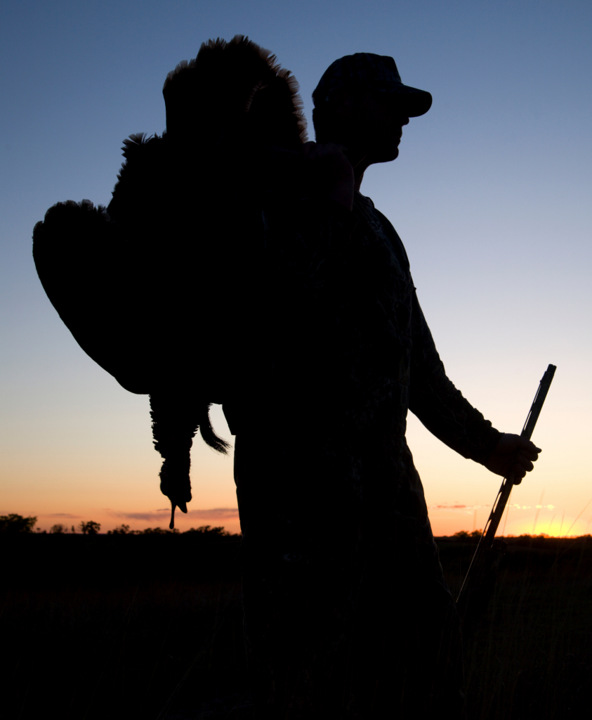 Wild Turkey Hunting