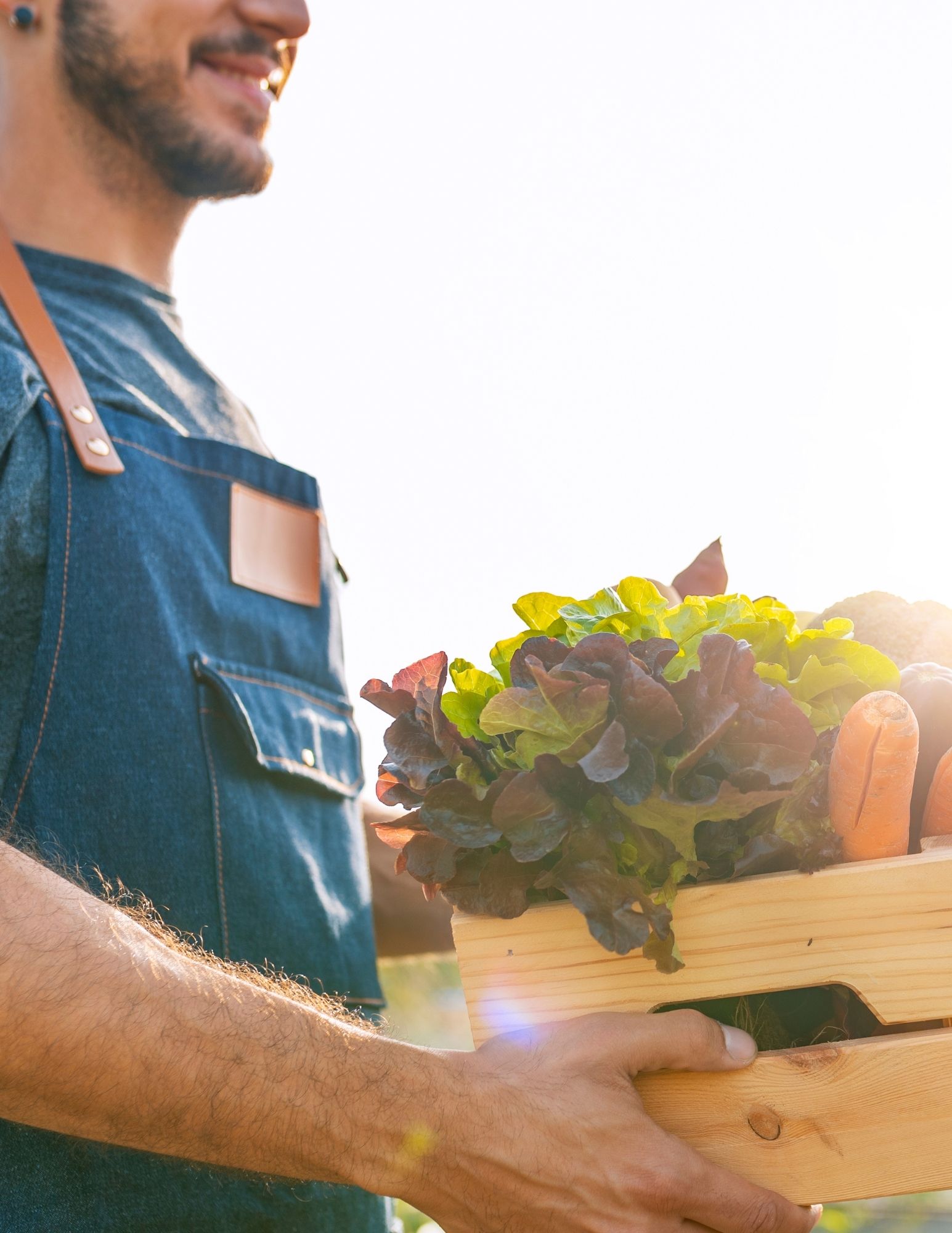 Ithaca Local Farmers Market - The Culture