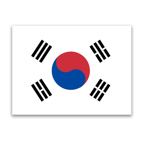 Korean Translated Forms
