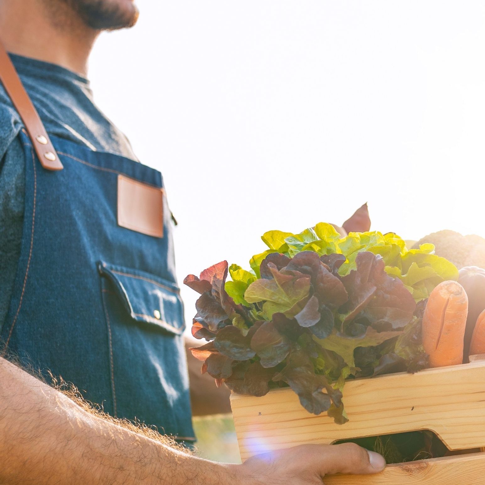 Ithaca Local Farmers Market - The Culture