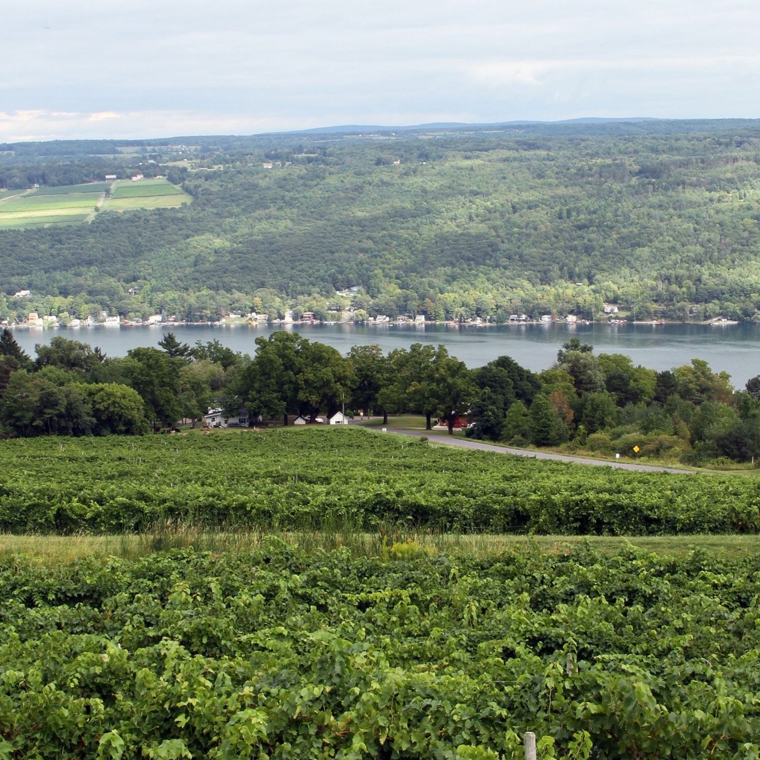 Wineries throughout the Finger Lakes
