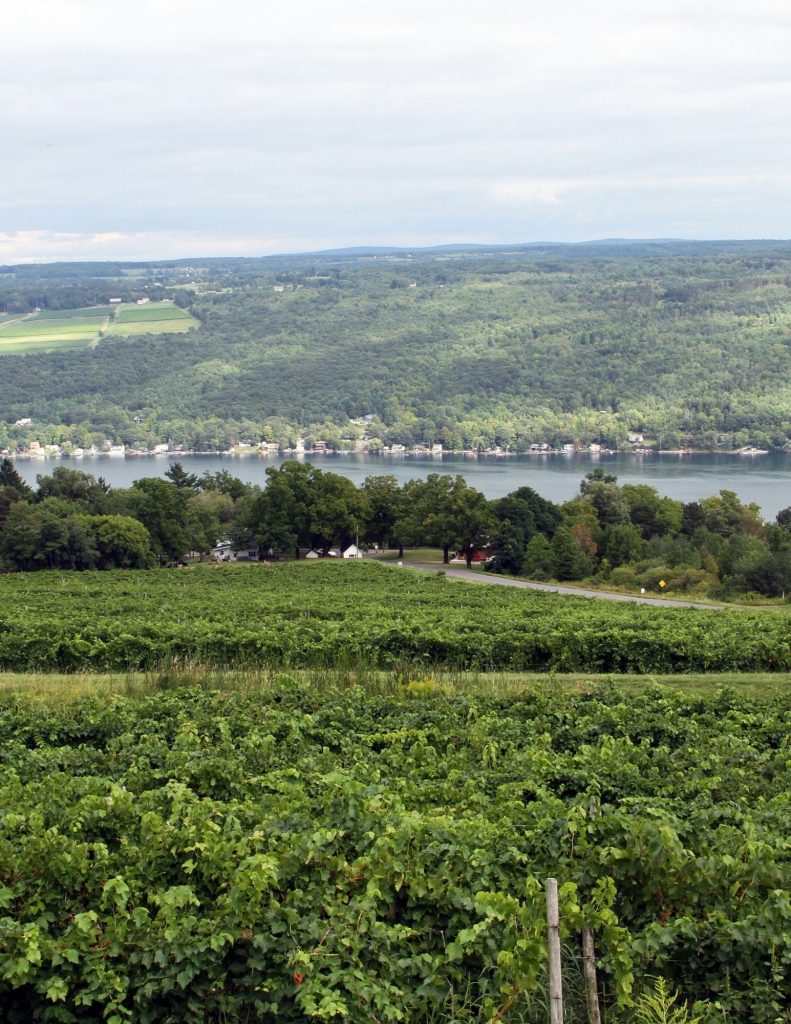 Wineries throughout the Finger Lakes
